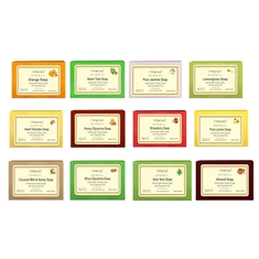 Handmade Herbal Soaps Combo Enriched With Essential Oils